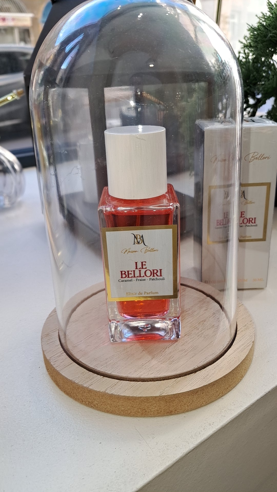 Le Bellori