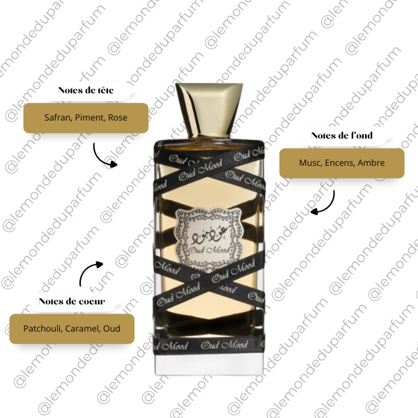 Eau de Parfum Oud Mood Lattafa