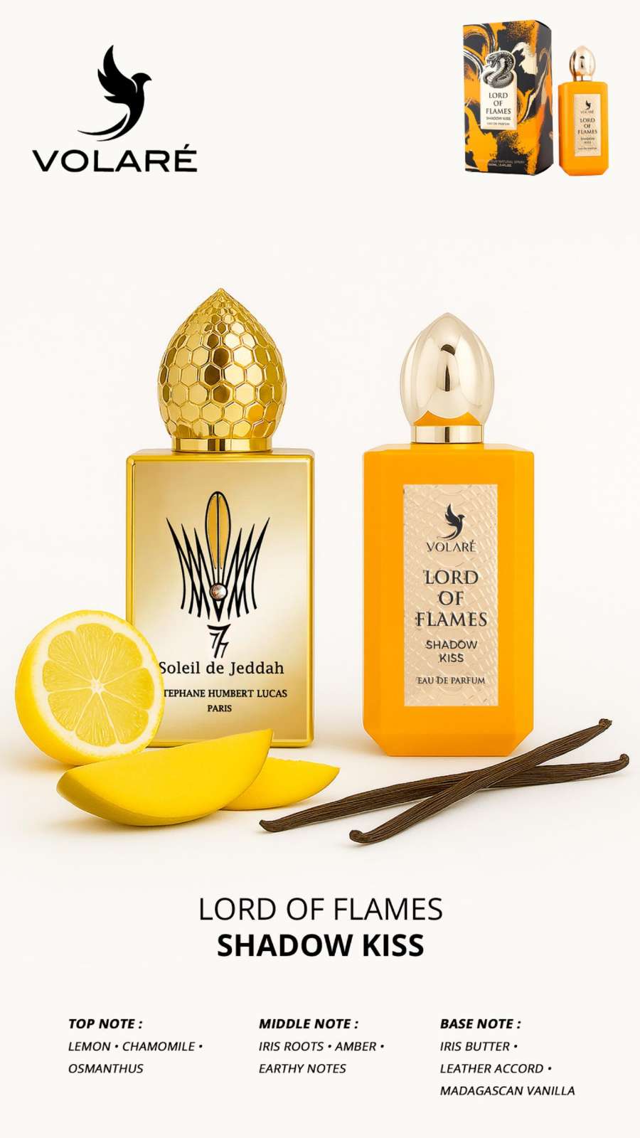 Shadow Kiss LORD OF FLAMMES Volaré